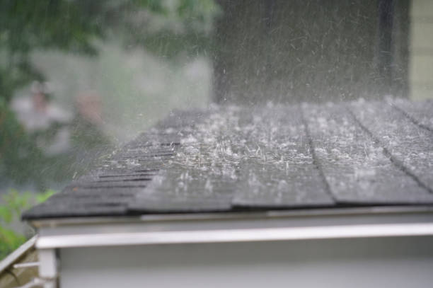 Best Commercial Roofing Services  in Cheboygan, MI